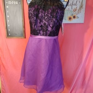 DaVinci Purple and Black Lace Prom Dress